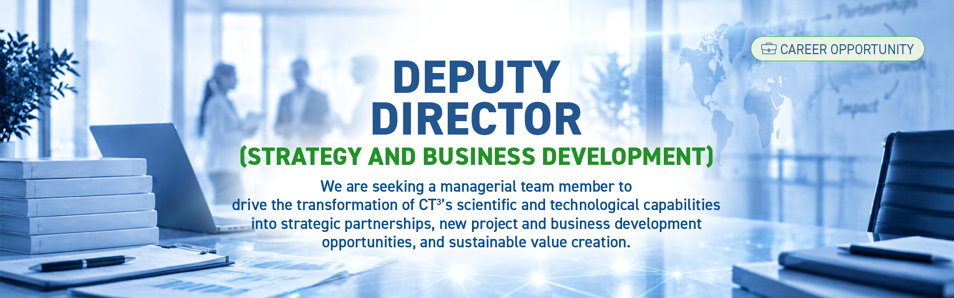 Deputy Director (Strategy and Business Development)