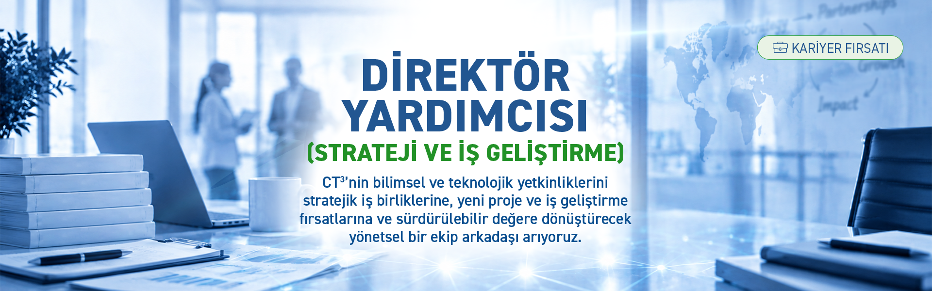 Müdür Yardımcısı (Strateji ve İş Geliştirme)