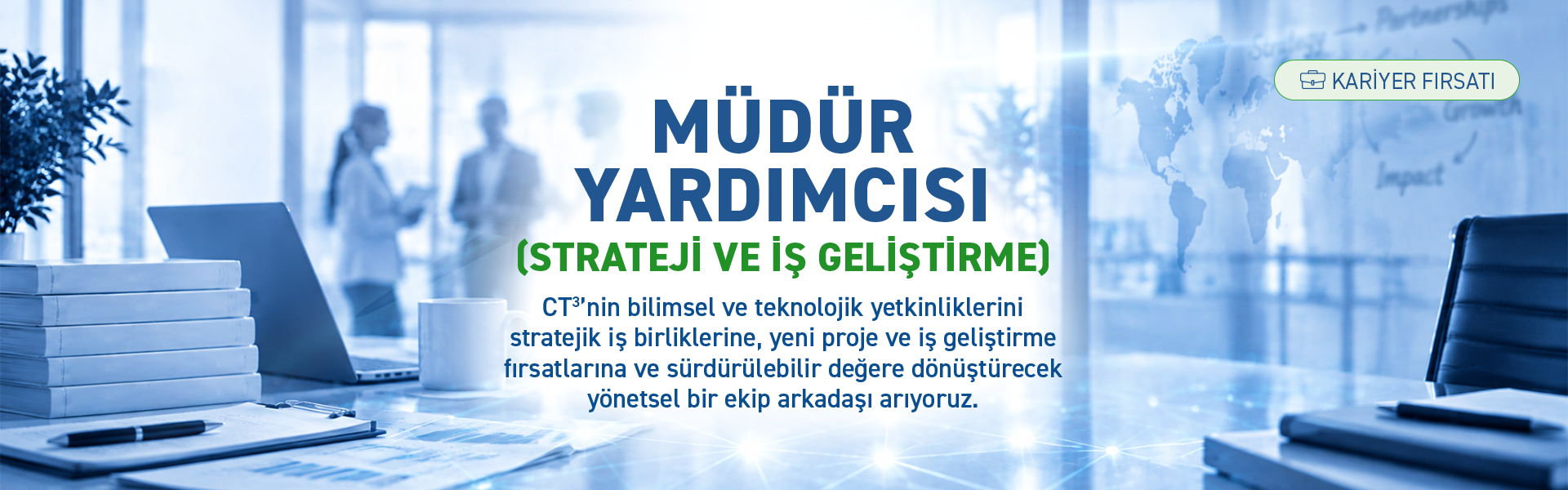 Müdür Yardımcısı (Strateji ve İş Geliştirme)