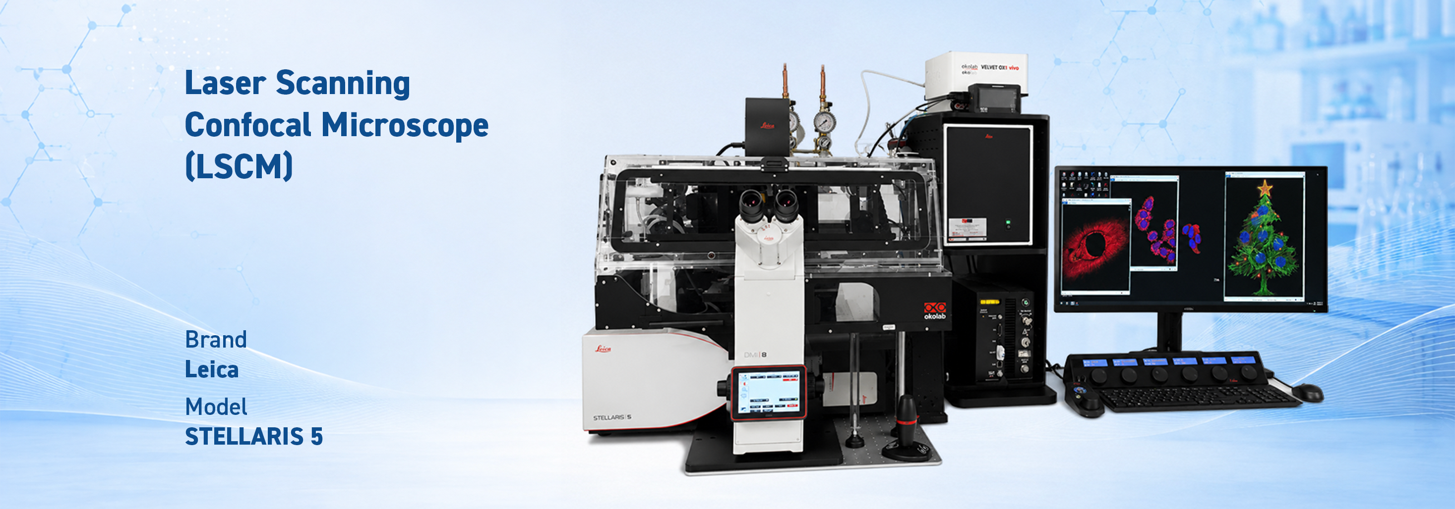Laser Scanning Confocal Microscope