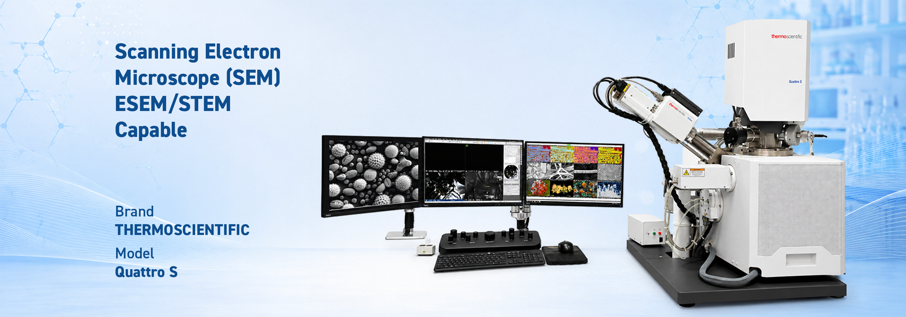Scanning Electron Microscope (SEM)
